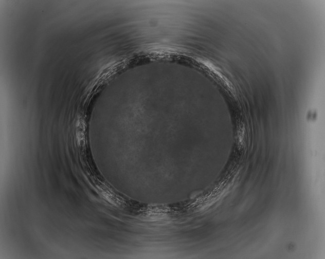 X0000098070964200804041121