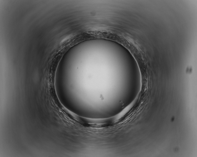 X0000098070965200804041121