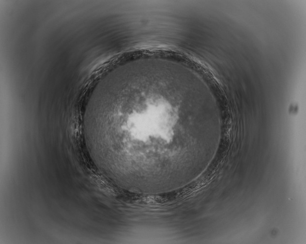 X0000098070966200804041121