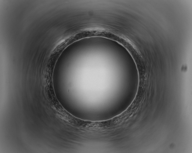 X0000098070967200804041121