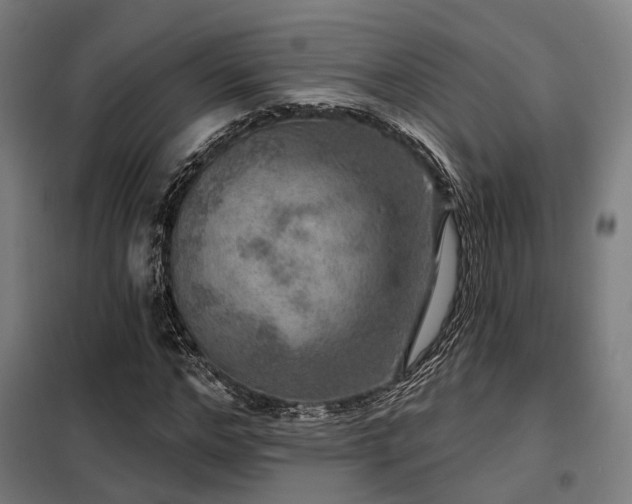 X0000098070968200804041121