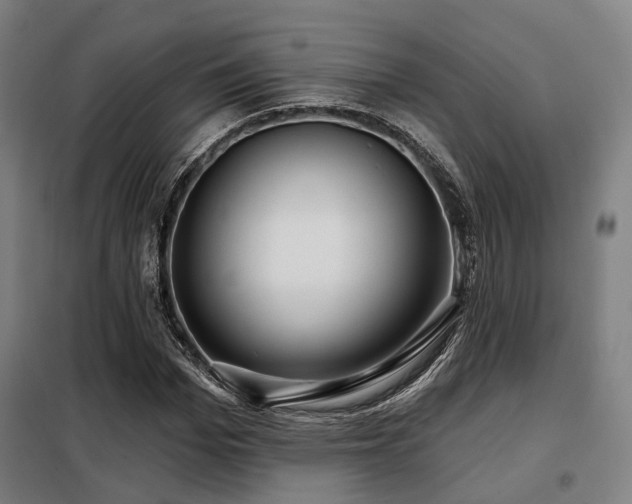 X0000098070969200804041121