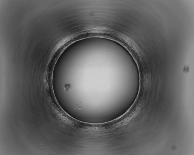 X0000098070970200804041121