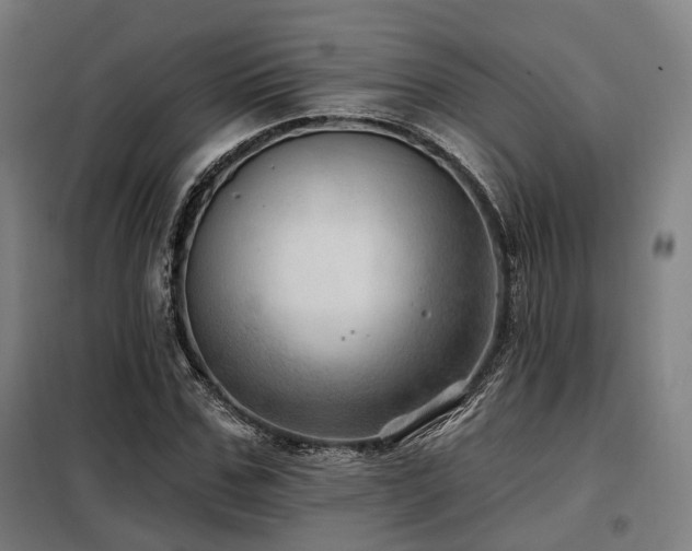 X0000098070971200804041121