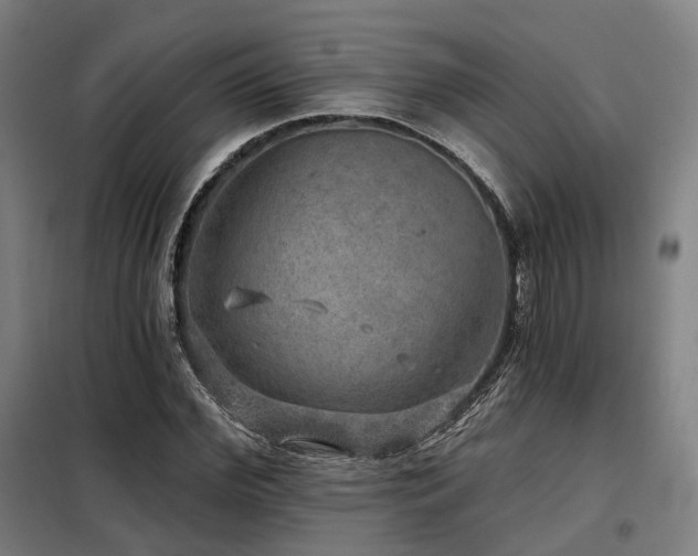 X0000098070972200804041121