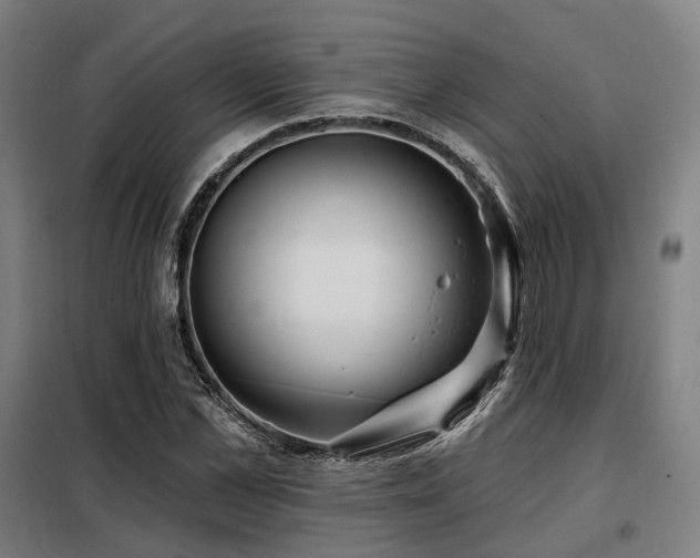 X0000098070973200804041121