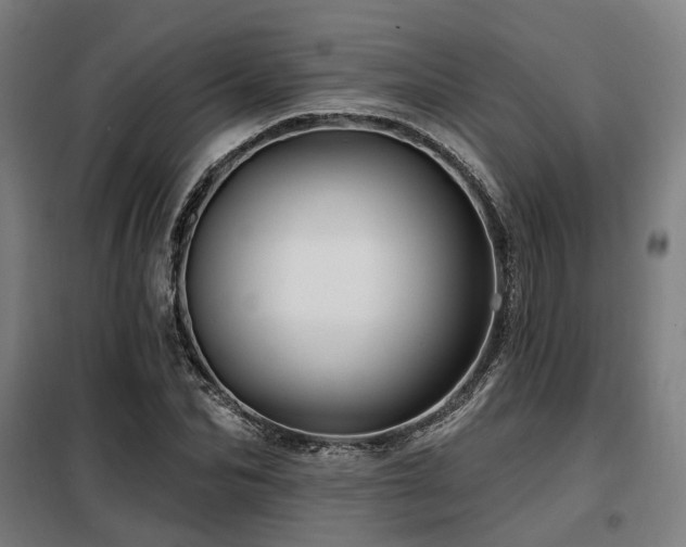 X0000098070974200804041121