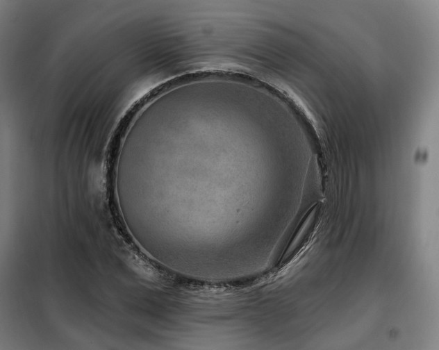 X0000098070975200804041121