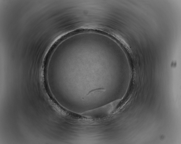 X0000098070976200804041121