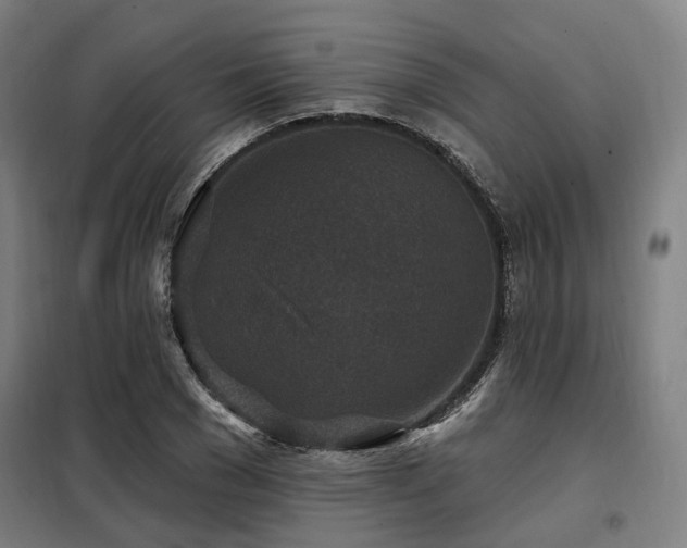 X0000098070977200804041121