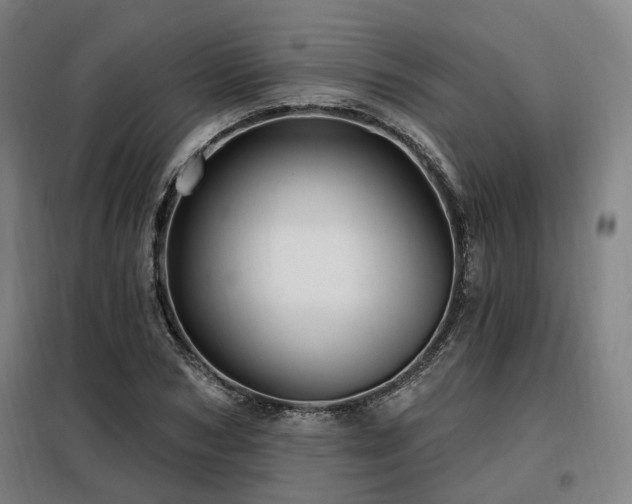 X0000098070978200804041121