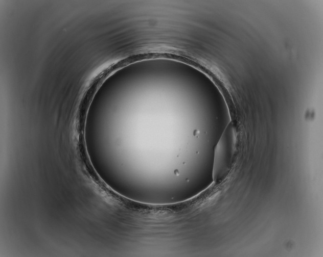 X0000098070979200804041121