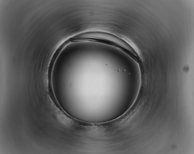 X0000098070980200804041121