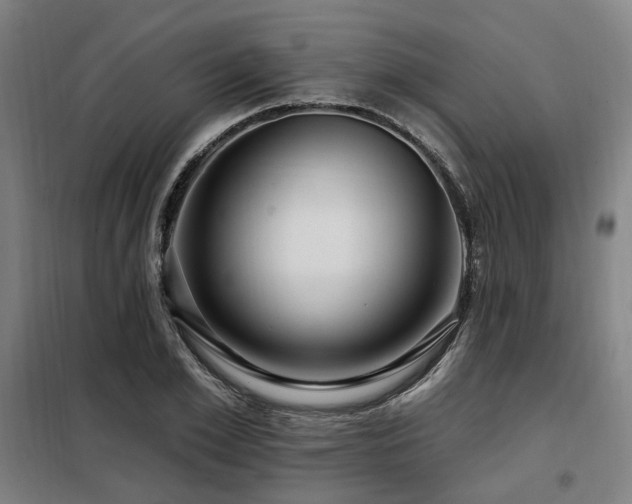 X0000098070981200804041121