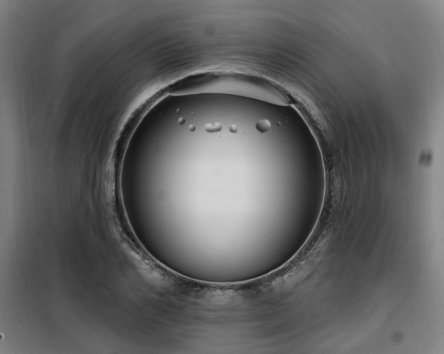 X0000098070982200804041121