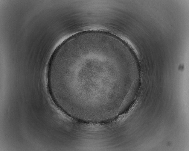 X0000098070983200804041121