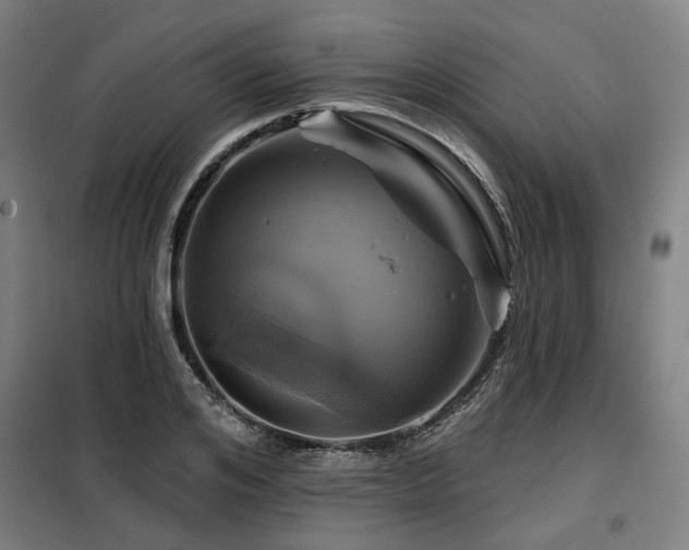 X0000098070984200804041121