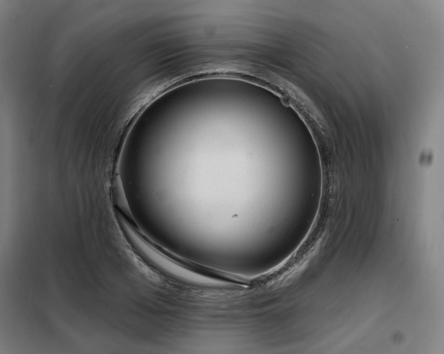 X0000098070985200804041121