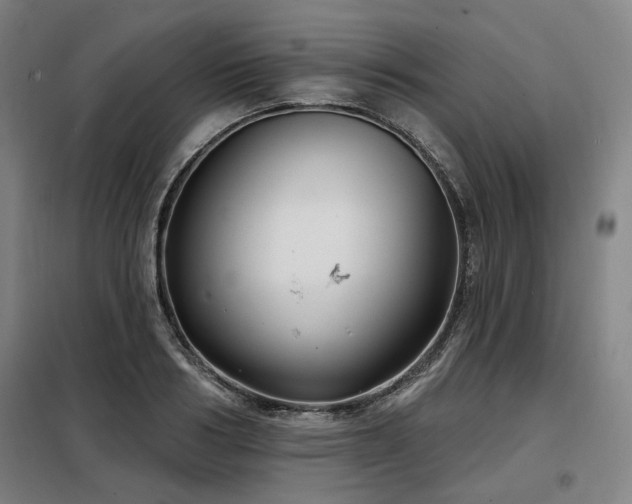 X0000098070986200804041121