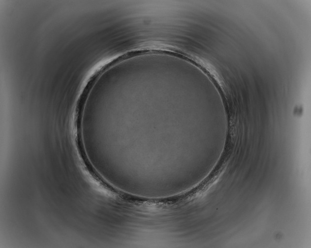 X0000098070987200804041121