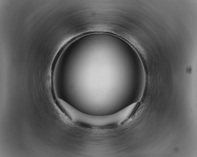 X0000098070988200804041121