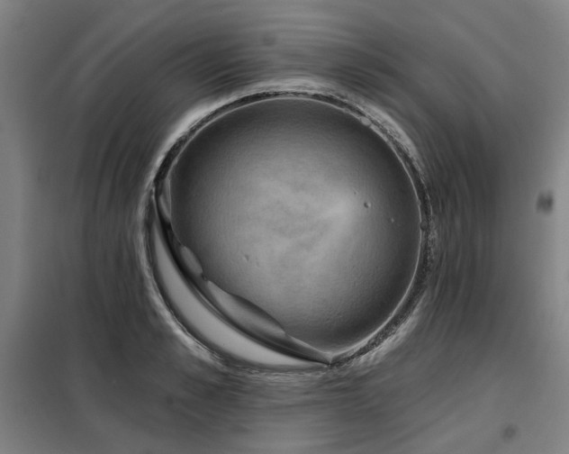 X0000098070989200804041121