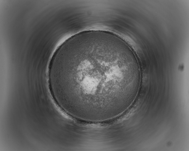 X0000098070990200804041121