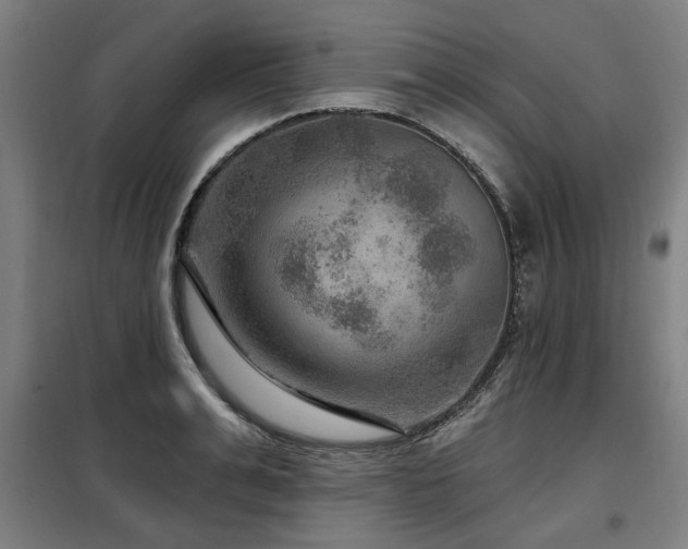 X0000098070991200804041121