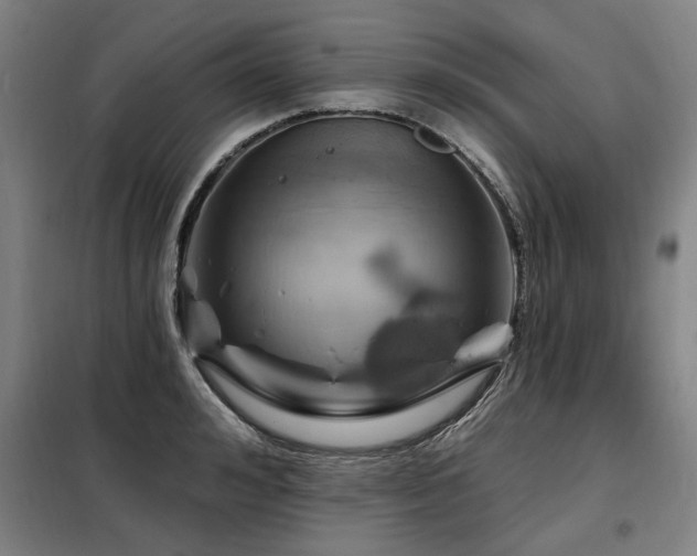 X0000098070992200804041121