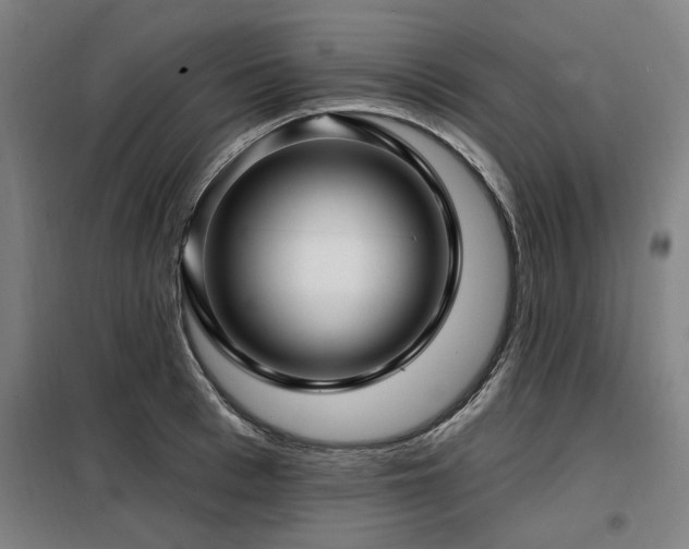 X0000098070993200804041121