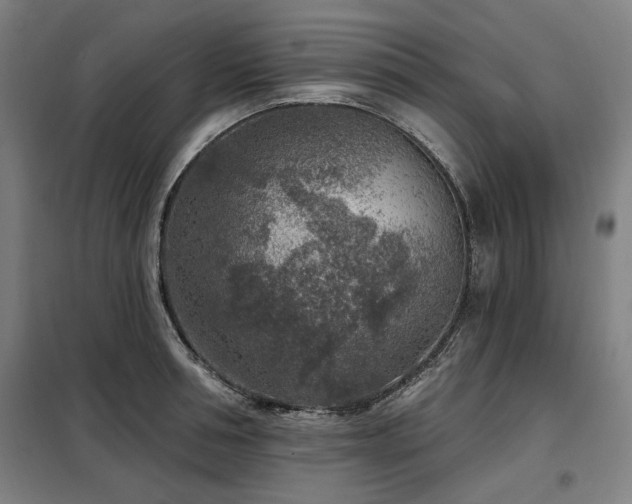 X0000098070994200804041121