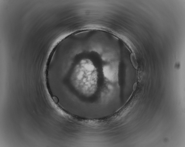 X0000098070995200804041121