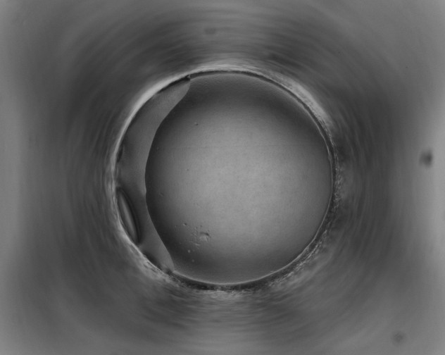 X0000098070996200804041121