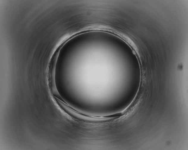 X0000098070997200804041121