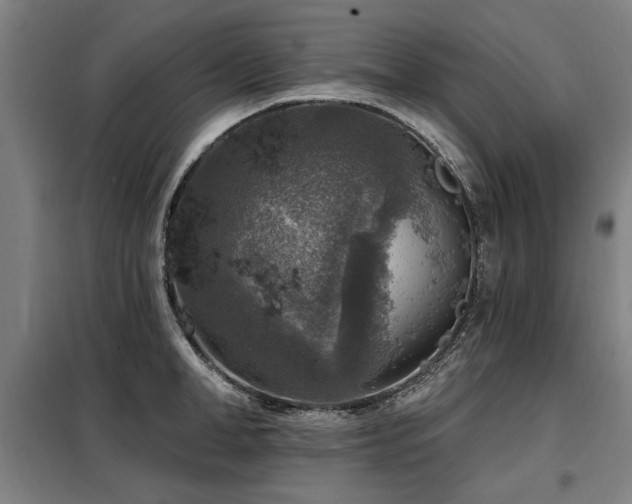 X0000098070998200804041121