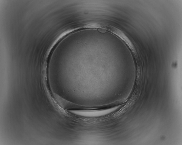 X0000098071000200804041121