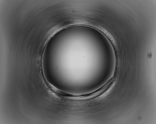 X0000098071001200804041121