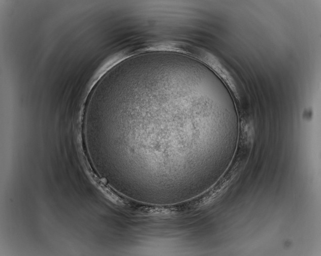 X0000098071002200804041121