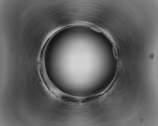 X0000098071003200804041121