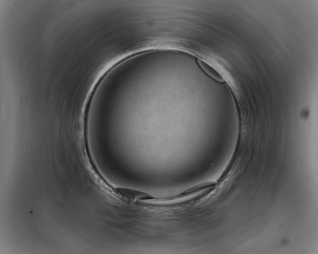 X0000098071004200804041121