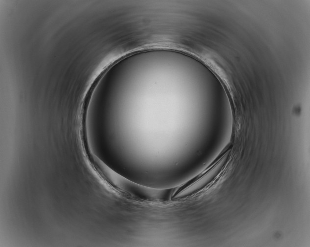 X0000098071005200804041121