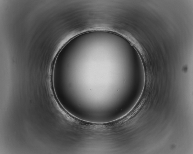 X0000098071006200804041121