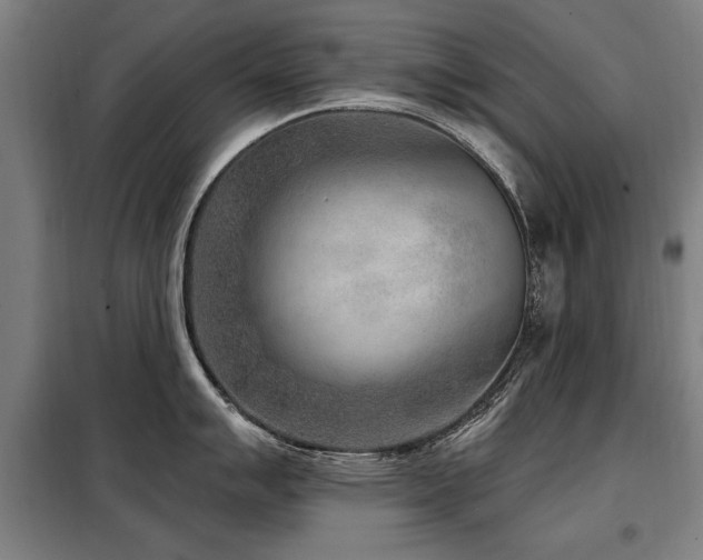 X0000098071007200804041120