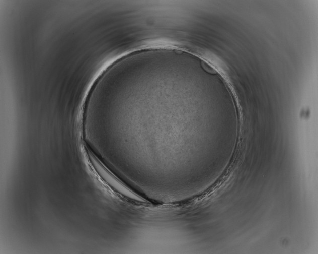 X0000098071008200804041120