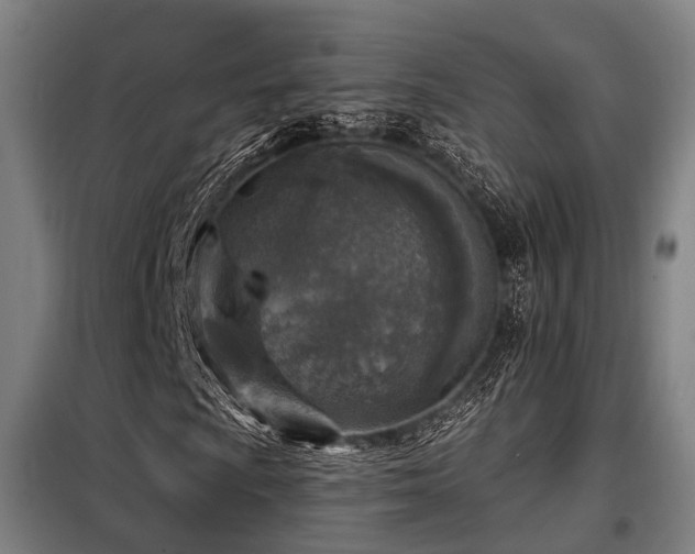 X0000098071009200804041120