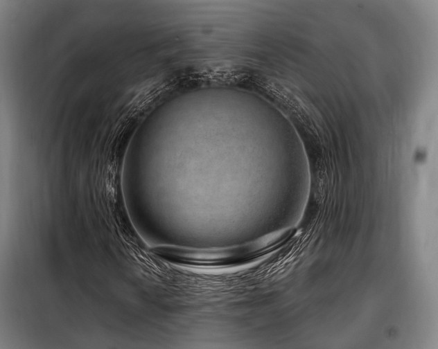 X0000098071010200804041120