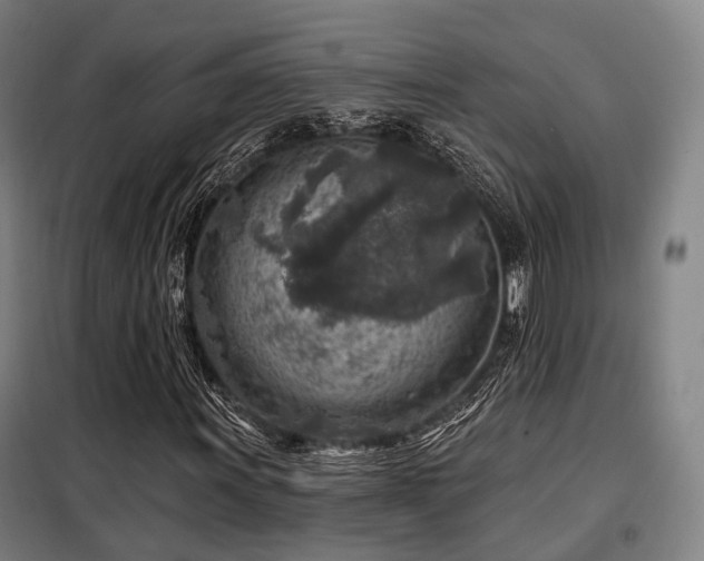 X0000098071011200804041120