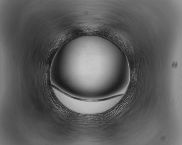 X0000098071012200804041120