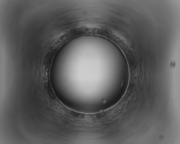 X0000098071013200804041120