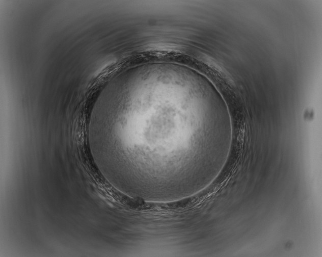 X0000098071014200804041120